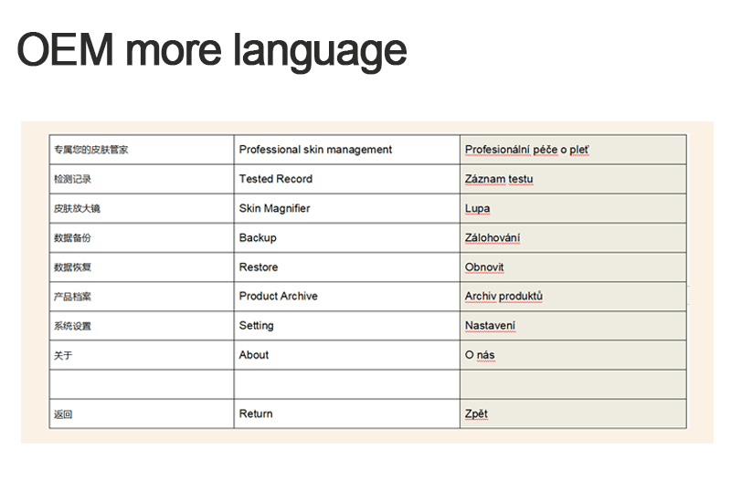 OEM language