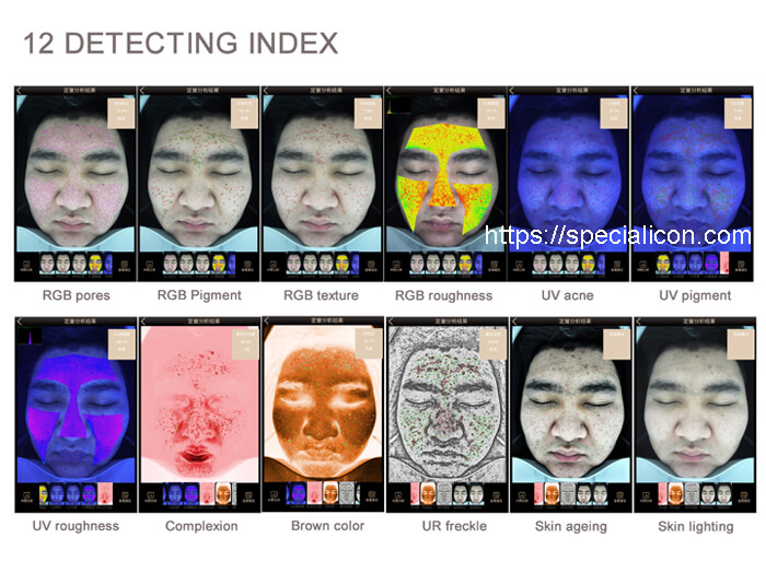 skin analysis system