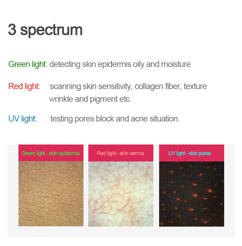 skin and hair analyzer